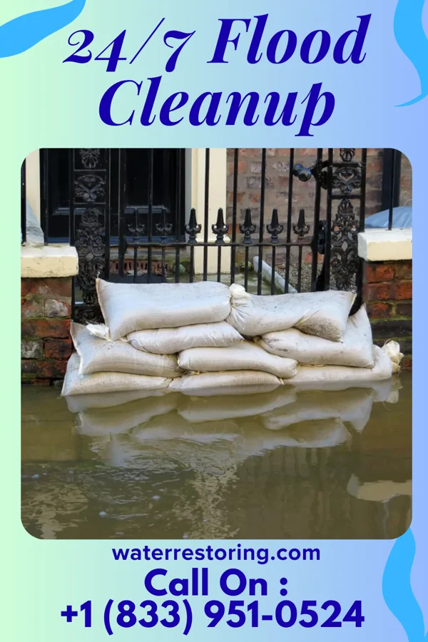24/7 Flood Cleanup in Money Island, NJ