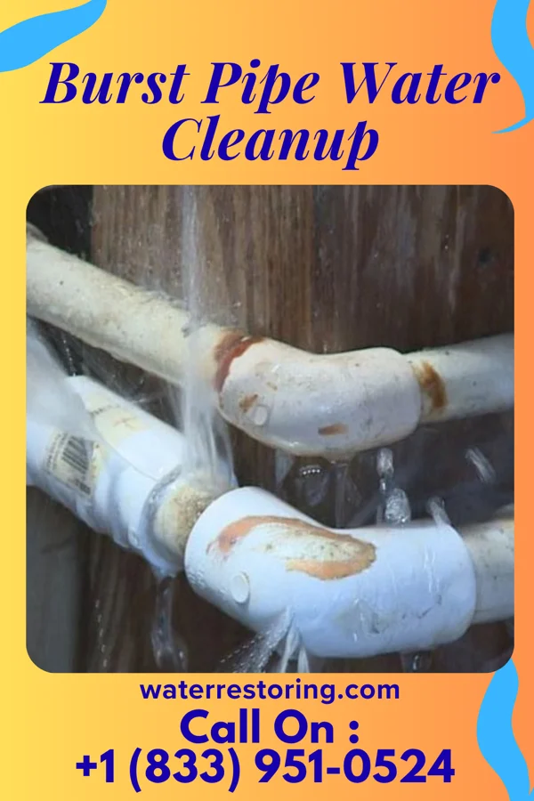 Burst Pipe Water Cleanup in Money Island, NJ