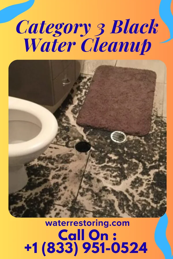 Category 3 Black Water Cleanup in Money Island, NJ