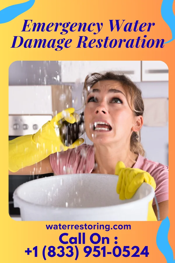 Emergency Water Damage Restoration in Money Island, NJ