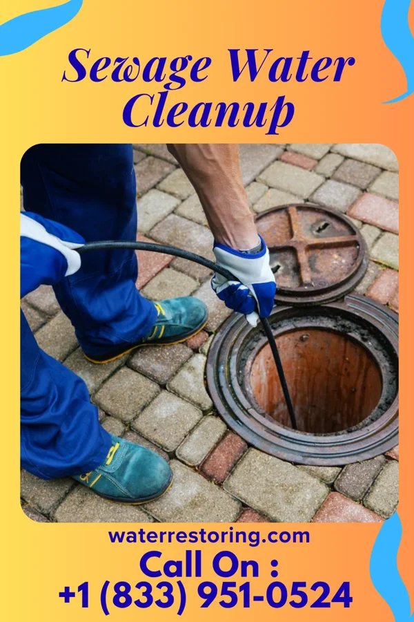 Sewage Water Cleanup in Money Island, NJ